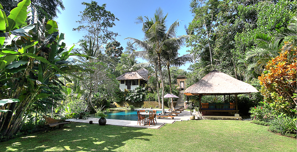 Villa Alamanda - Lawn and pool
